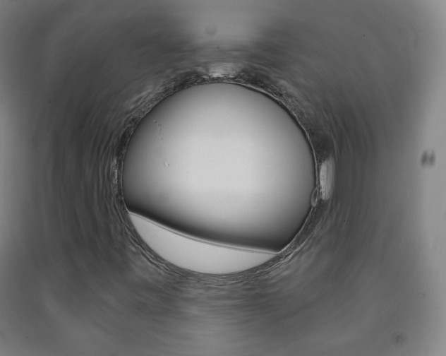 X0000093121443200709261003