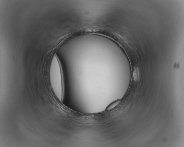 X0000093121444200709261003