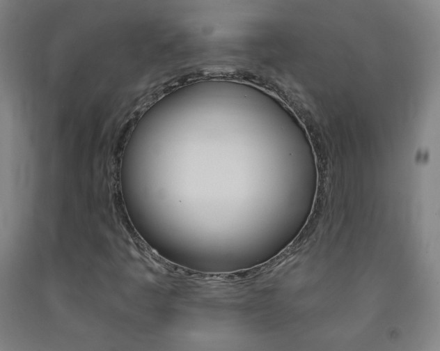 X0000093121445200709261003