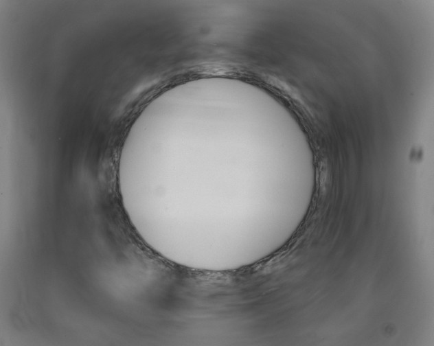 X0000093121446200709261003