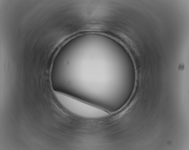 X0000093121449200709261003