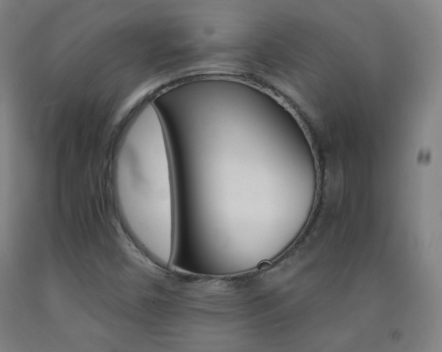 X0000093121450200709261003