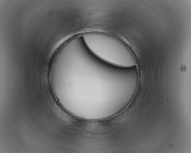 X0000093121452200709261003