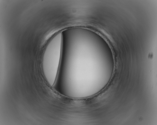 X0000093121453200709261003