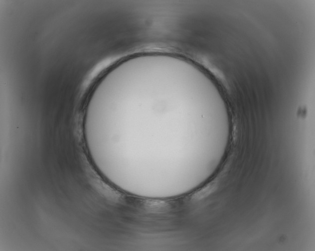 X0000093121454200709261003