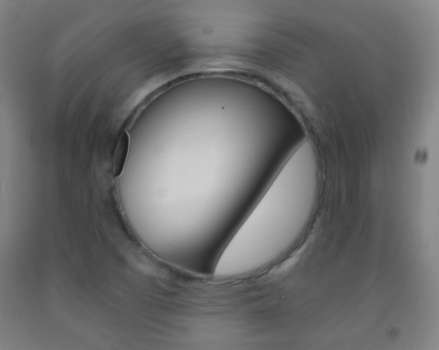 X0000093121457200709261003