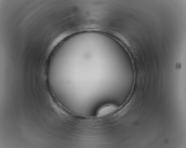 X0000093121458200709261003