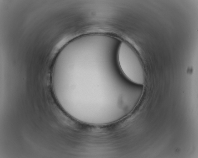 X0000093121459200709261003