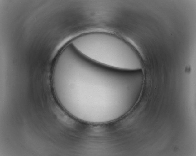 X0000093121460200709261003