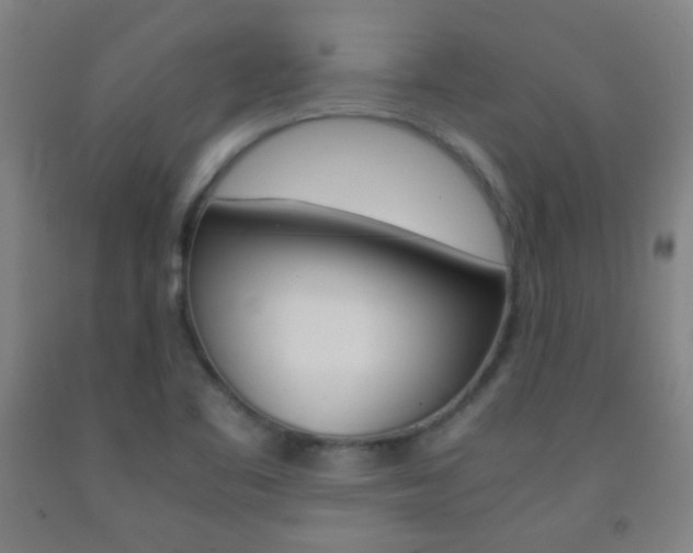X0000093121461200709261003