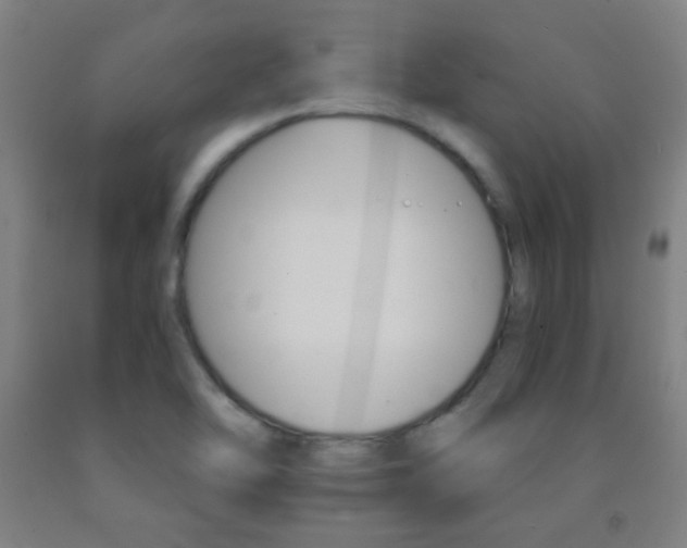 X0000093121462200709261003