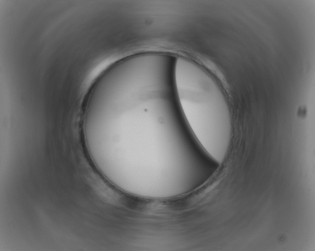 X0000093121463200709261003