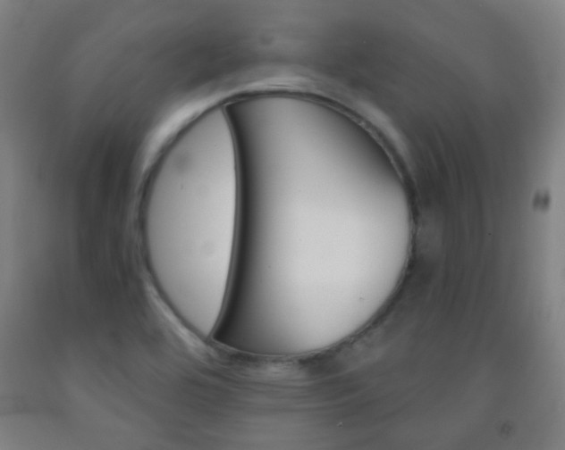 X0000093121464200709261003