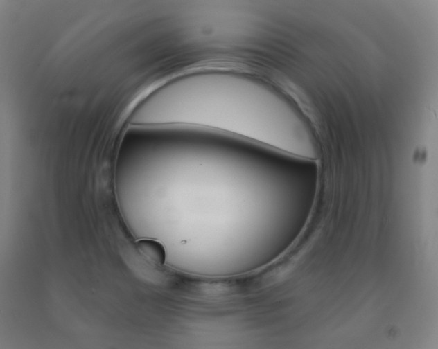 X0000093121465200709261003