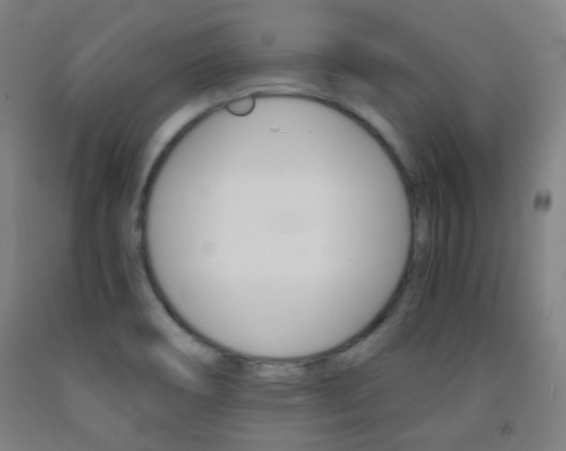 X0000093121466200709261003