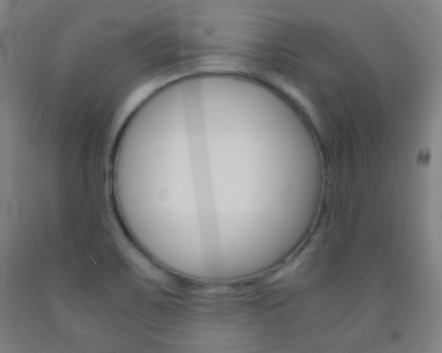 X0000093121467200709261003