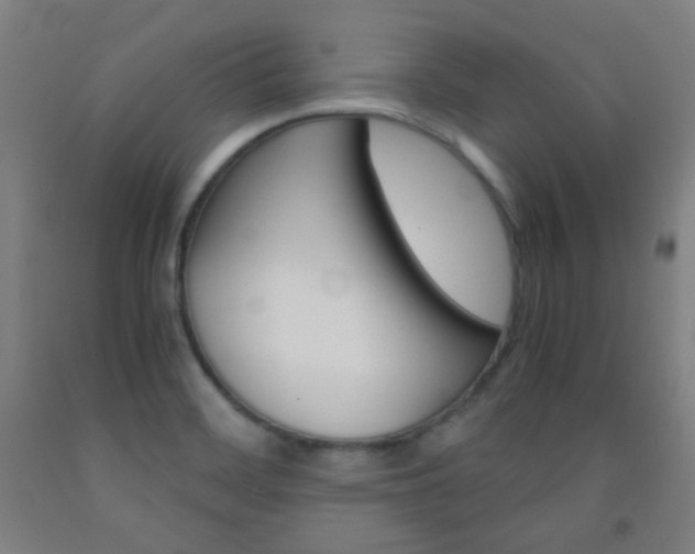 X0000093121468200709261003