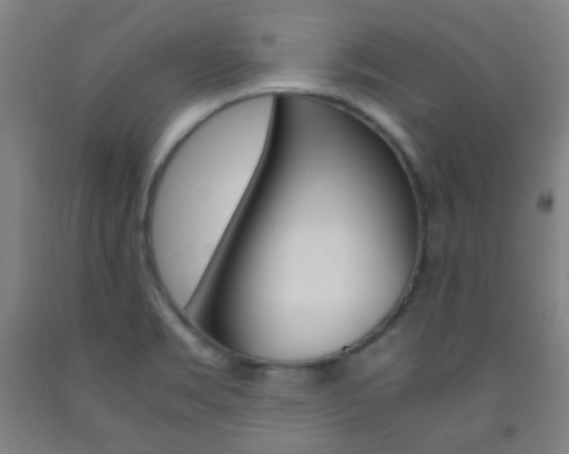X0000093121469200709261003