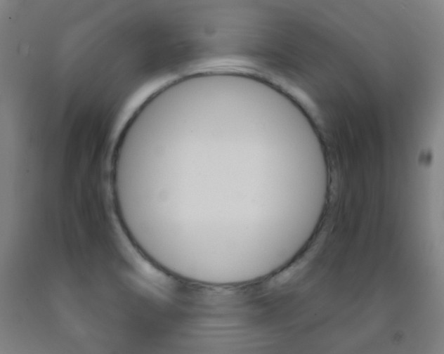 X0000093121470200709261003