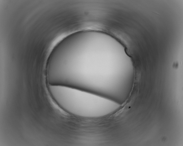 X0000093121471200709261003