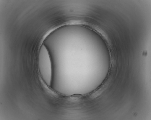X0000093121473200709261003