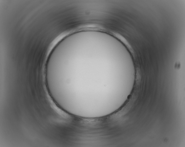 X0000093121474200709261003