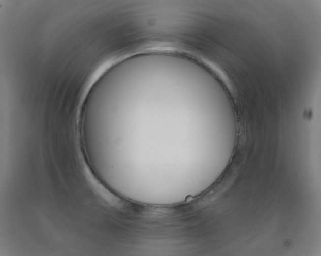 X0000093121475200709261003