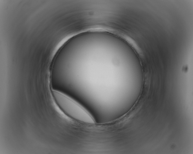 X0000093121476200709261003