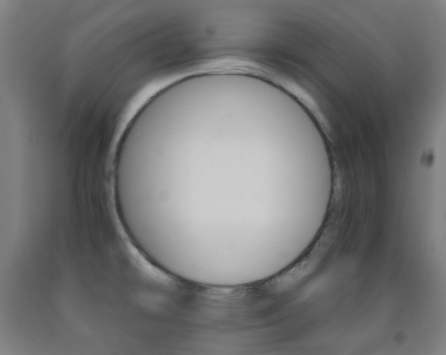 X0000093121478200709261003