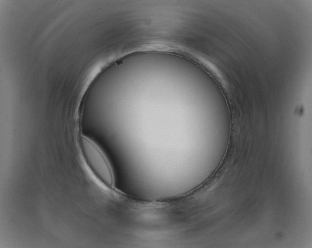 X0000093121479200709261003