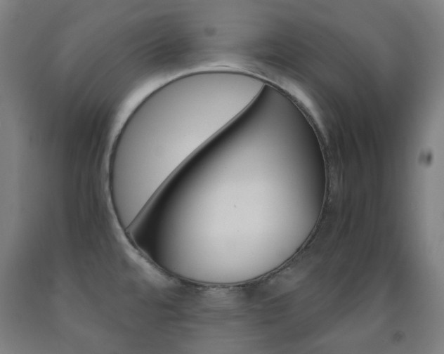 X0000093121480200709261003