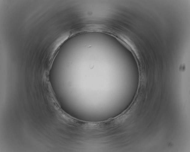X0000093121481200709261003