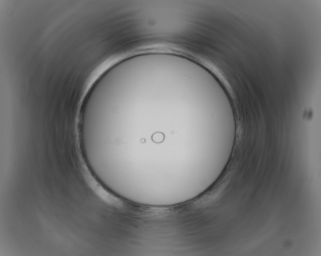 X0000093121482200709261003