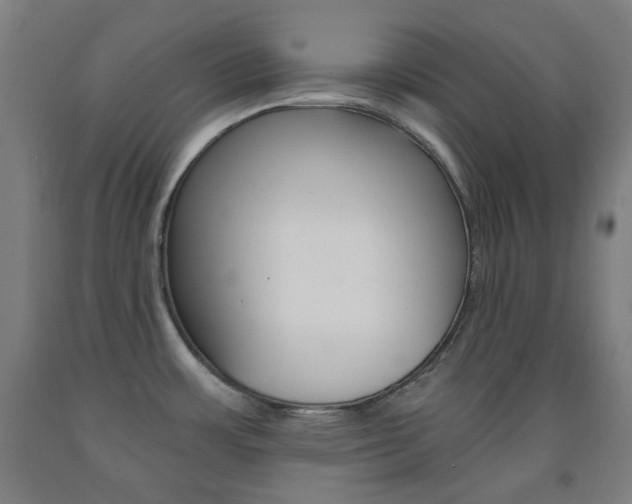 X0000093121483200709261003