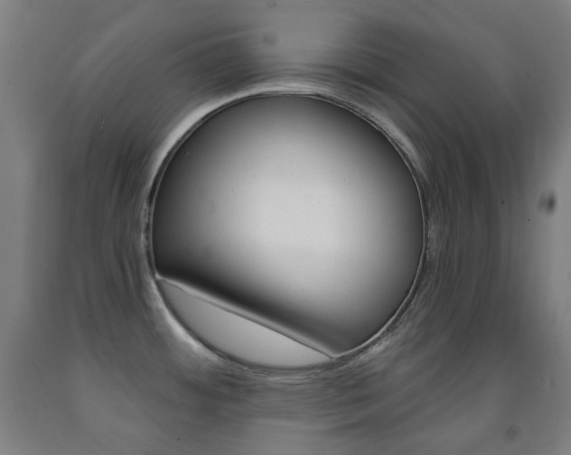 X0000093121484200709261003