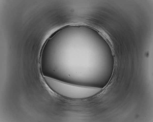 X0000093121485200709261003