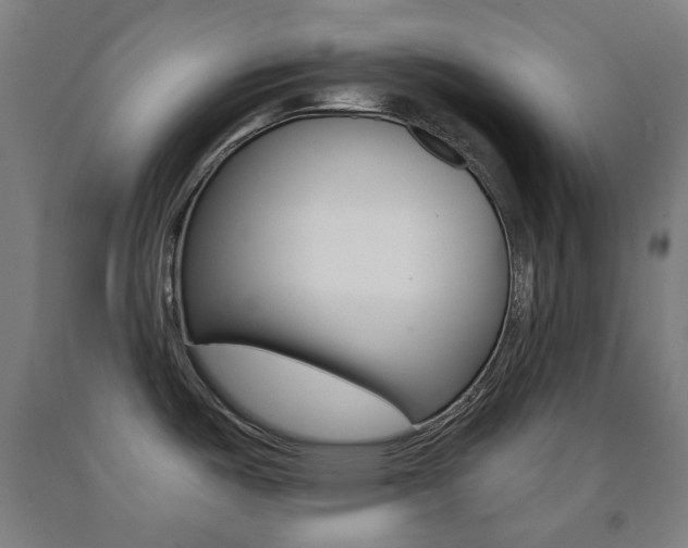 X0000093121487200709261003