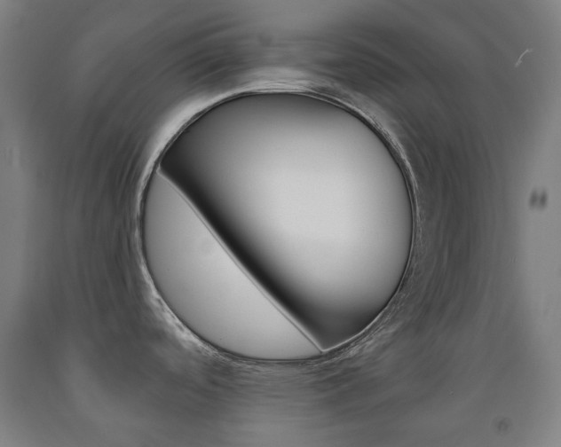 X0000093121488200709261003