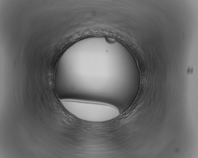 X0000093121490200709261002
