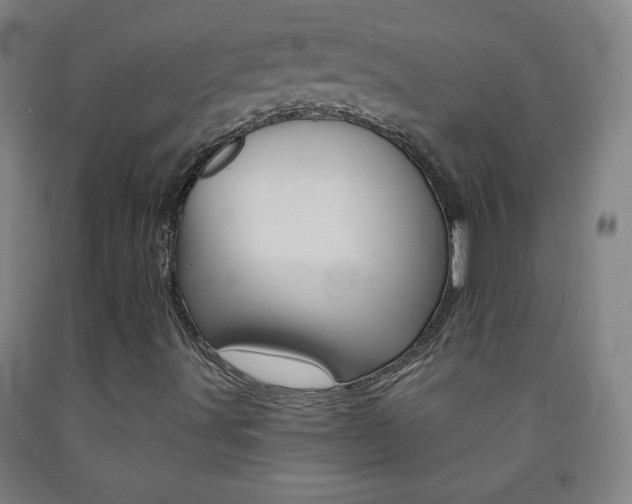 X0000093121491200709261002