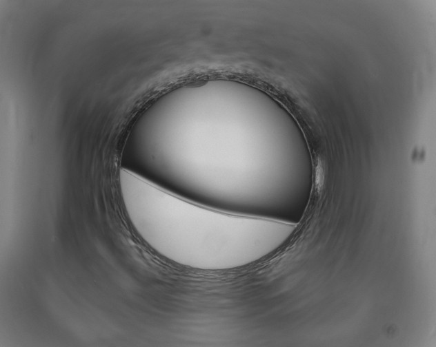 X0000093121492200709261002