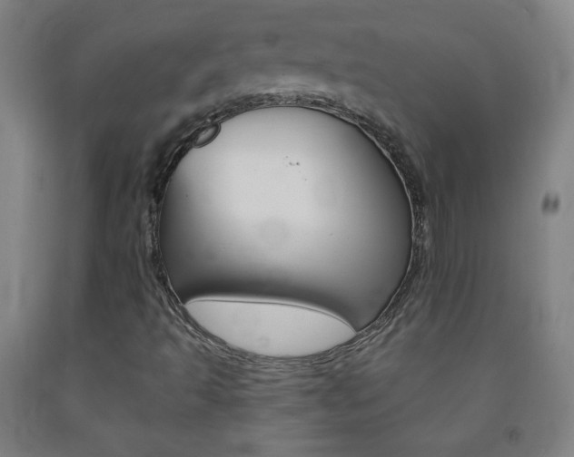 X0000093121493200709261002