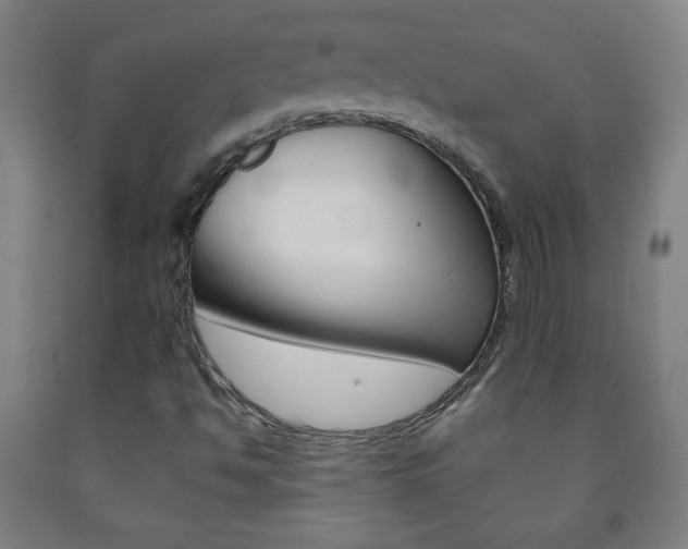 X0000093121494200709261002