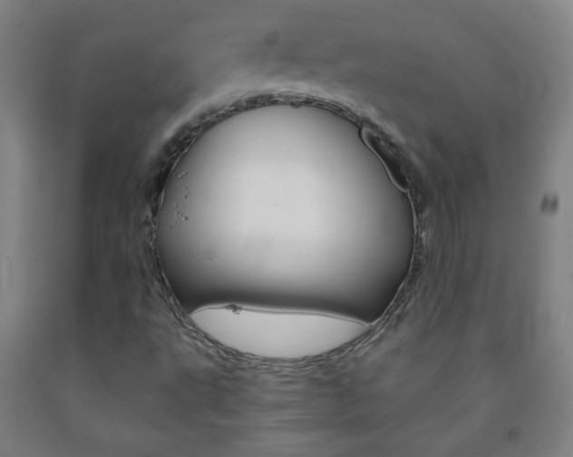 X0000093121495200709261002
