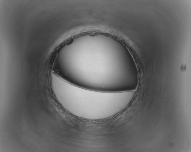 X0000093121496200709261002