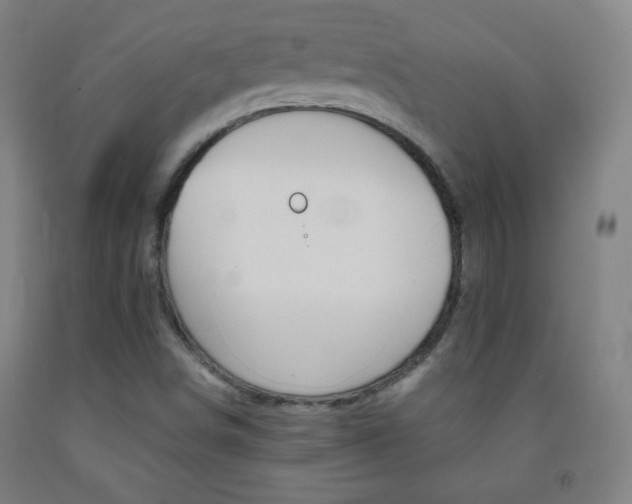 X0000093121498200709261002