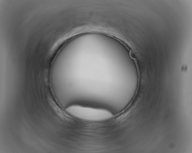 X0000093121499200709261002