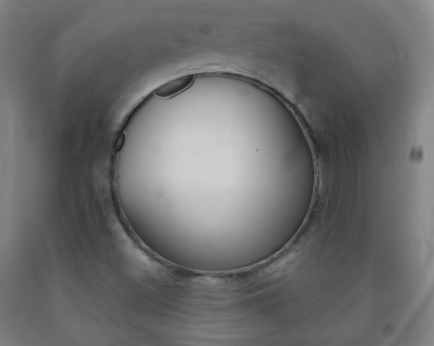 X0000093121500200709261002