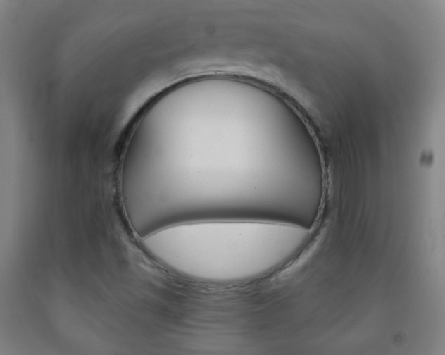 X0000093121501200709261002