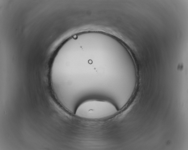 X0000093121502200709261002